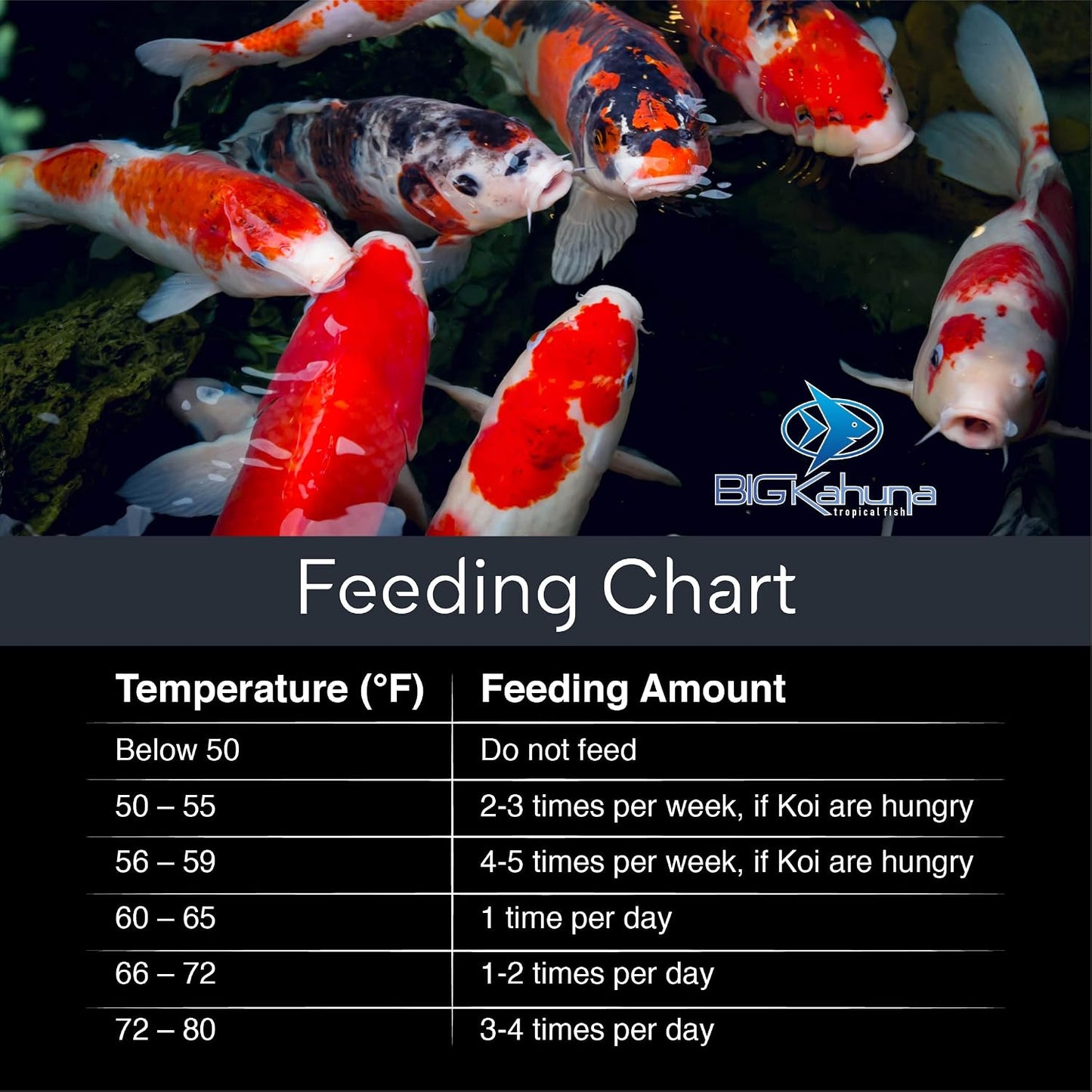 Big Kahuna koi fish food 45 pounds bulk packaging rear view showing ingredients list