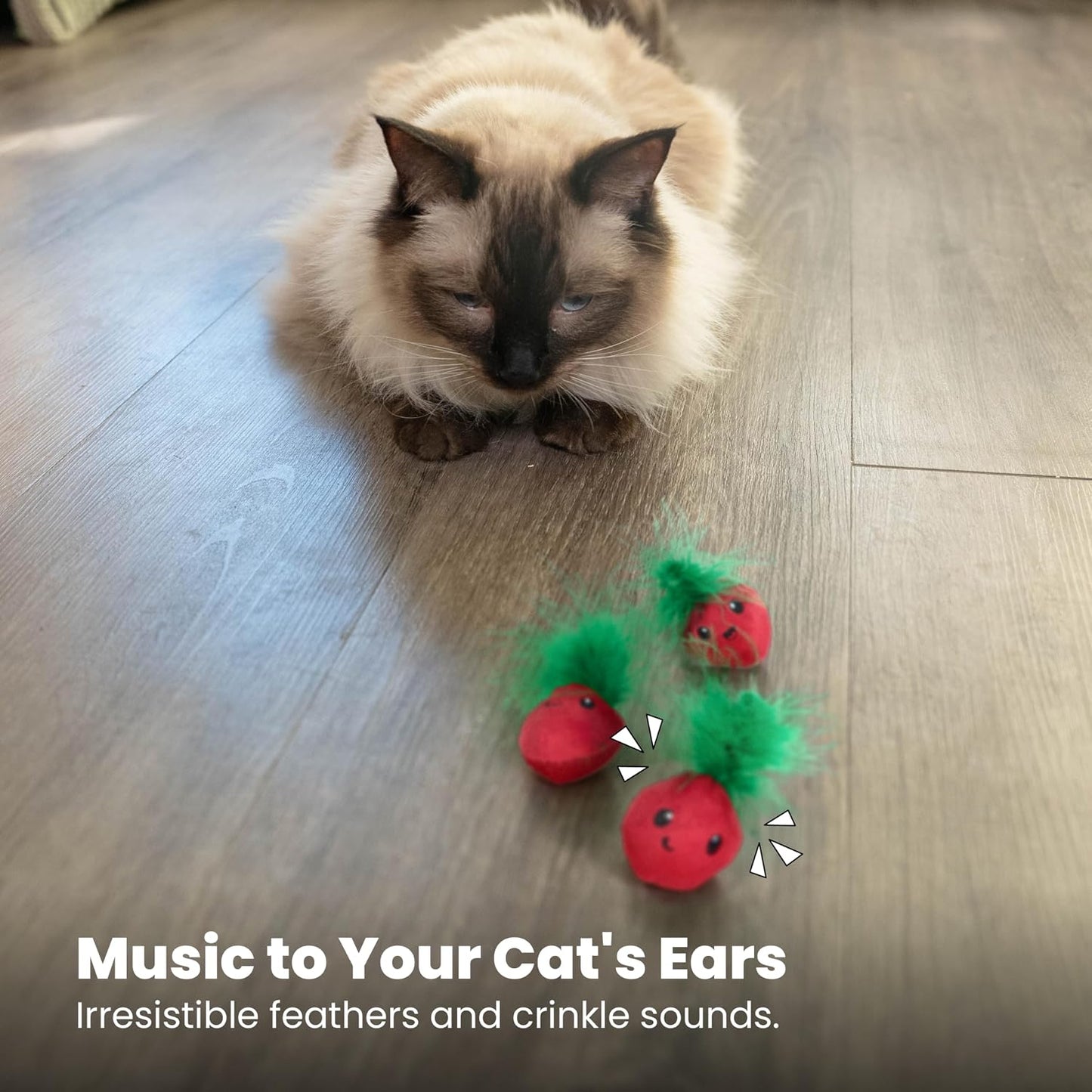 Catstages dental hygiene cat toys pack showcasing the authentic imported packaging details.