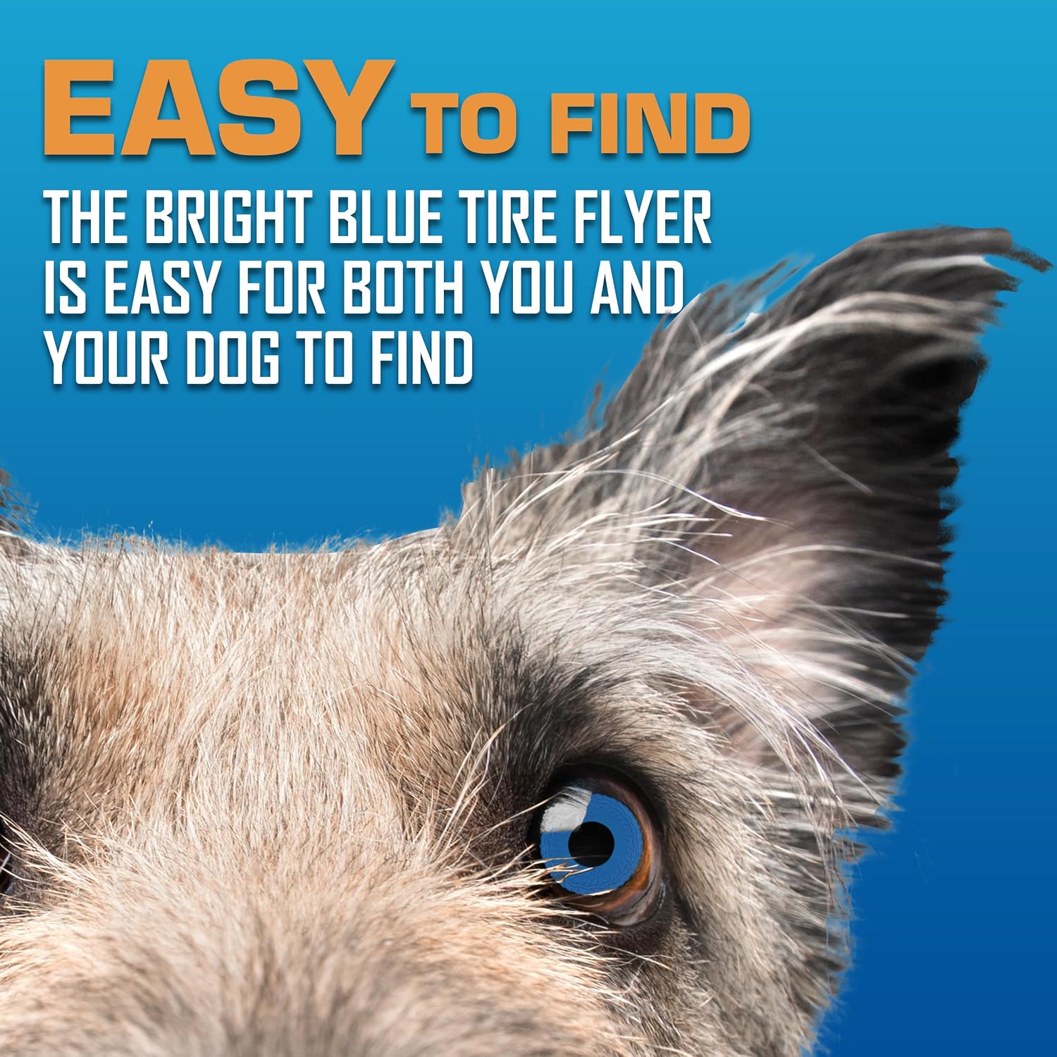 Close up of Nerf Dog Tire Flyer texture
