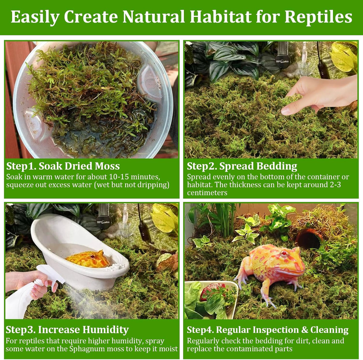 Moist forest moss bedding inside a reptile enclosure