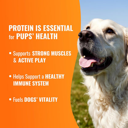 Three count pack of savory dog treats designed for large breeds.