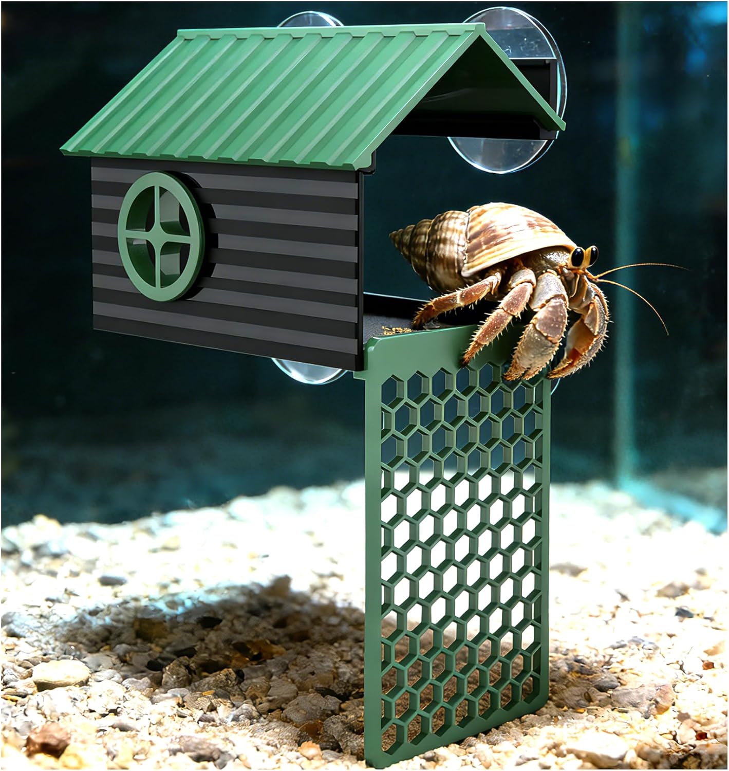 Multi-Functional Hermit Crab Hideaway | Hermit Crab Foraging cave with Ladder | Hermit Crab Climbing wall Toy | Hideout Decoration Accessories Also Suitable for Lizards and Tarantulas - Image 1