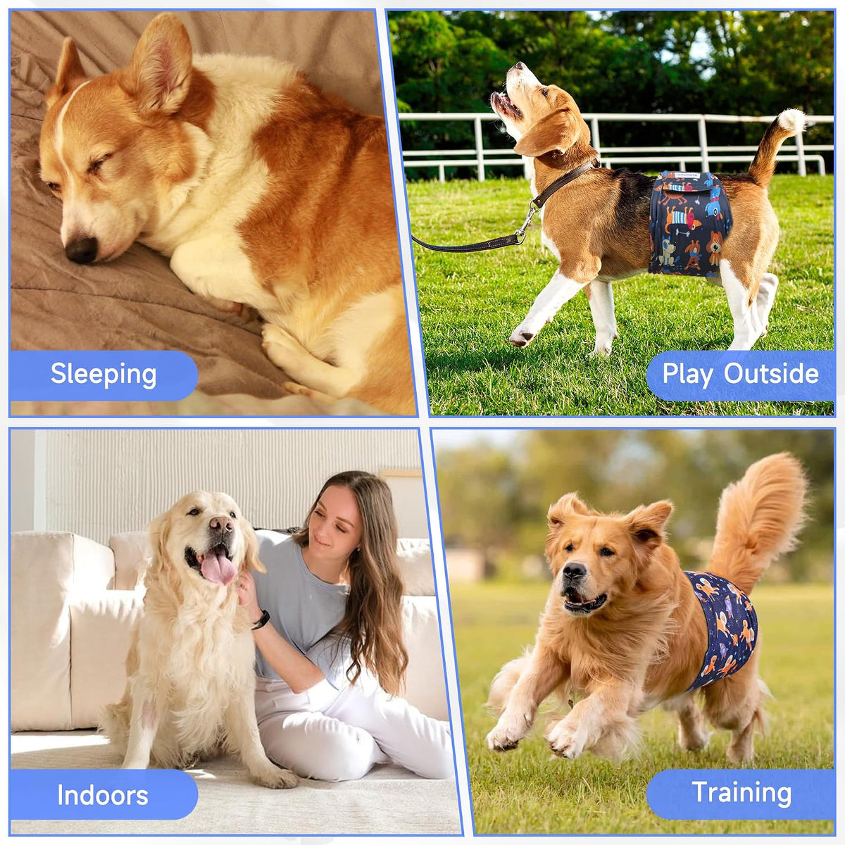 Barklincharm dog belly band showing secure closure placement