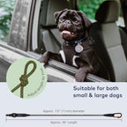 Arca Pet pet travel restraint installed in back seat