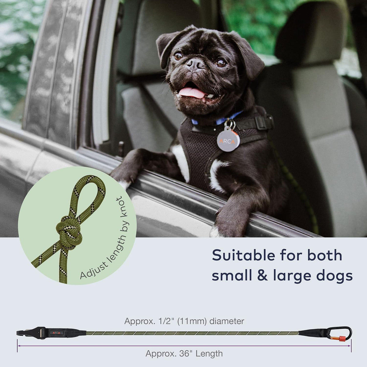 Arca Pet pet travel restraint installed in back seat