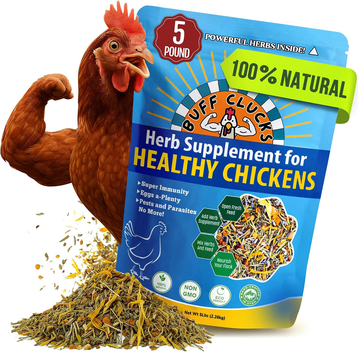 Natural plant-based ingredients displayed next to the supplement pouch