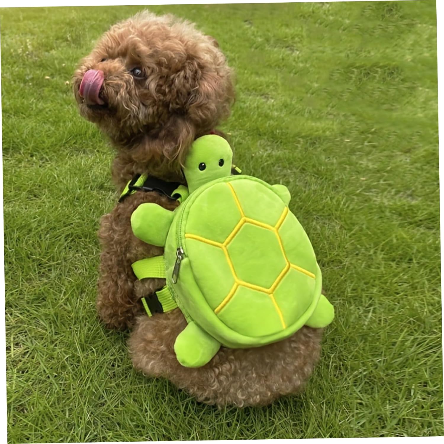 Ammpoure dog saddle bag side view demonstrating the spacious zipper compartment
