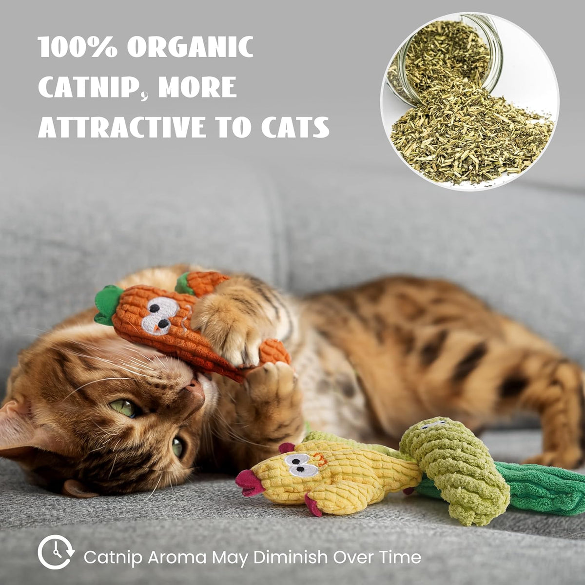 Kitten playing with Pawsible catnip toy
