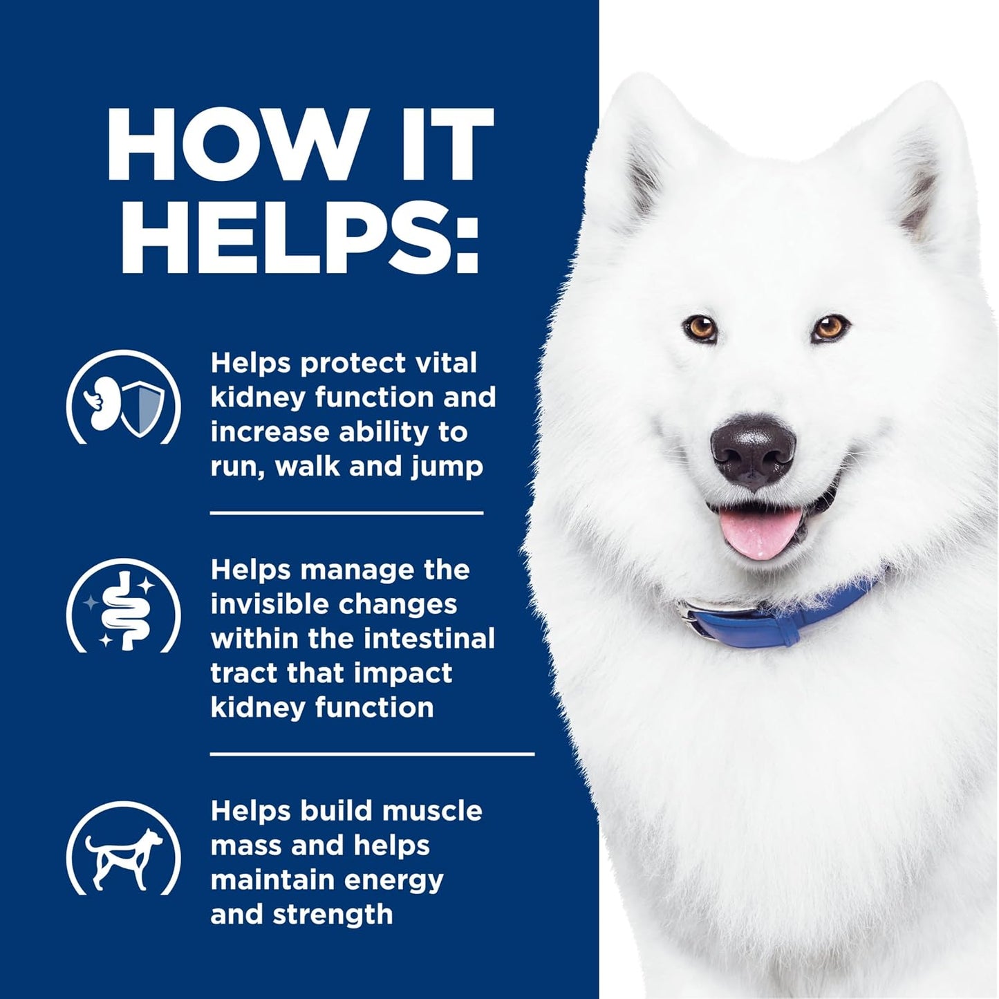 Hill's Prescription Diet K/D plus J/D therapeutic dog food formulation details