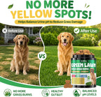 Cudory urinary tract and gut health supplements for dogs chicken flavor.