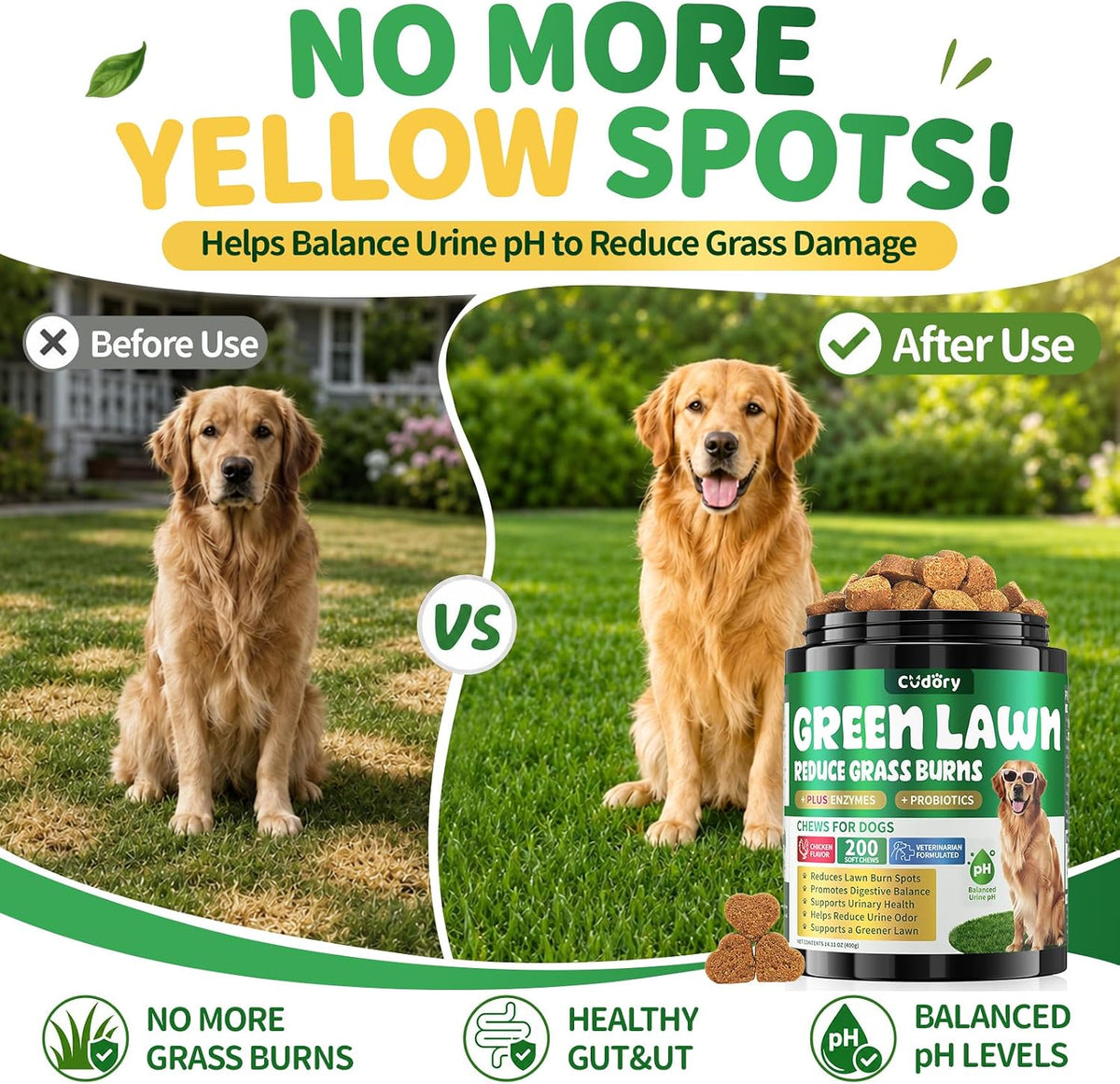 Cudory urinary tract and gut health supplements for dogs chicken flavor.