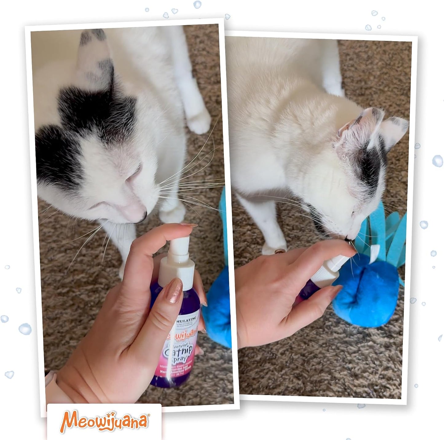 Meowijuana dual herb formula catnip spray for rejuvenating old feline toys