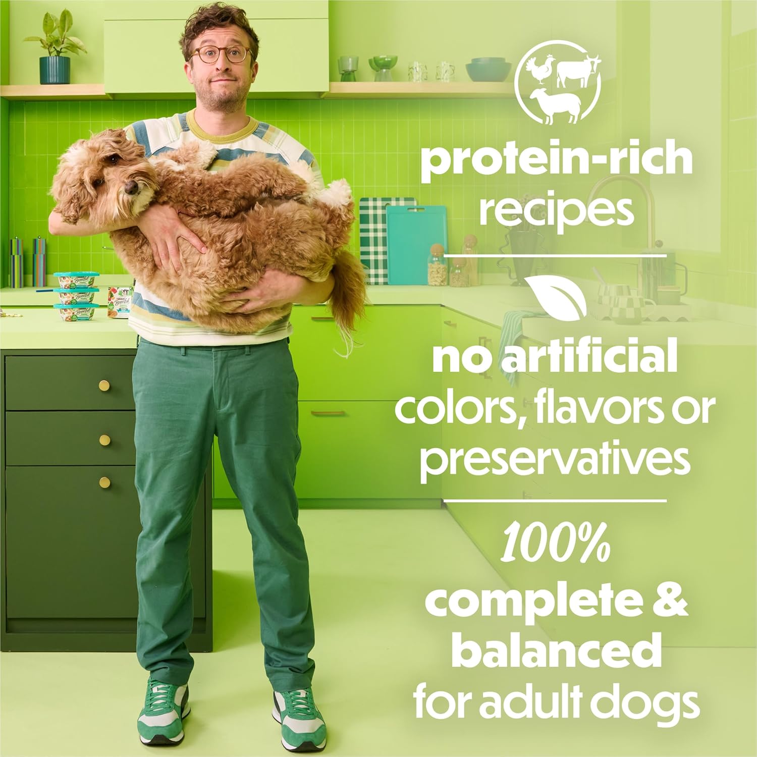 Imported adult wet dog food stews with real beef and chicken