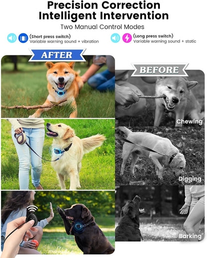 Reedog remote control for dog bark collar training modes
