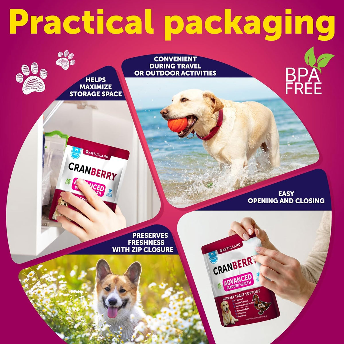 USA imported dog kidney and urinary health supplement from Artullano.