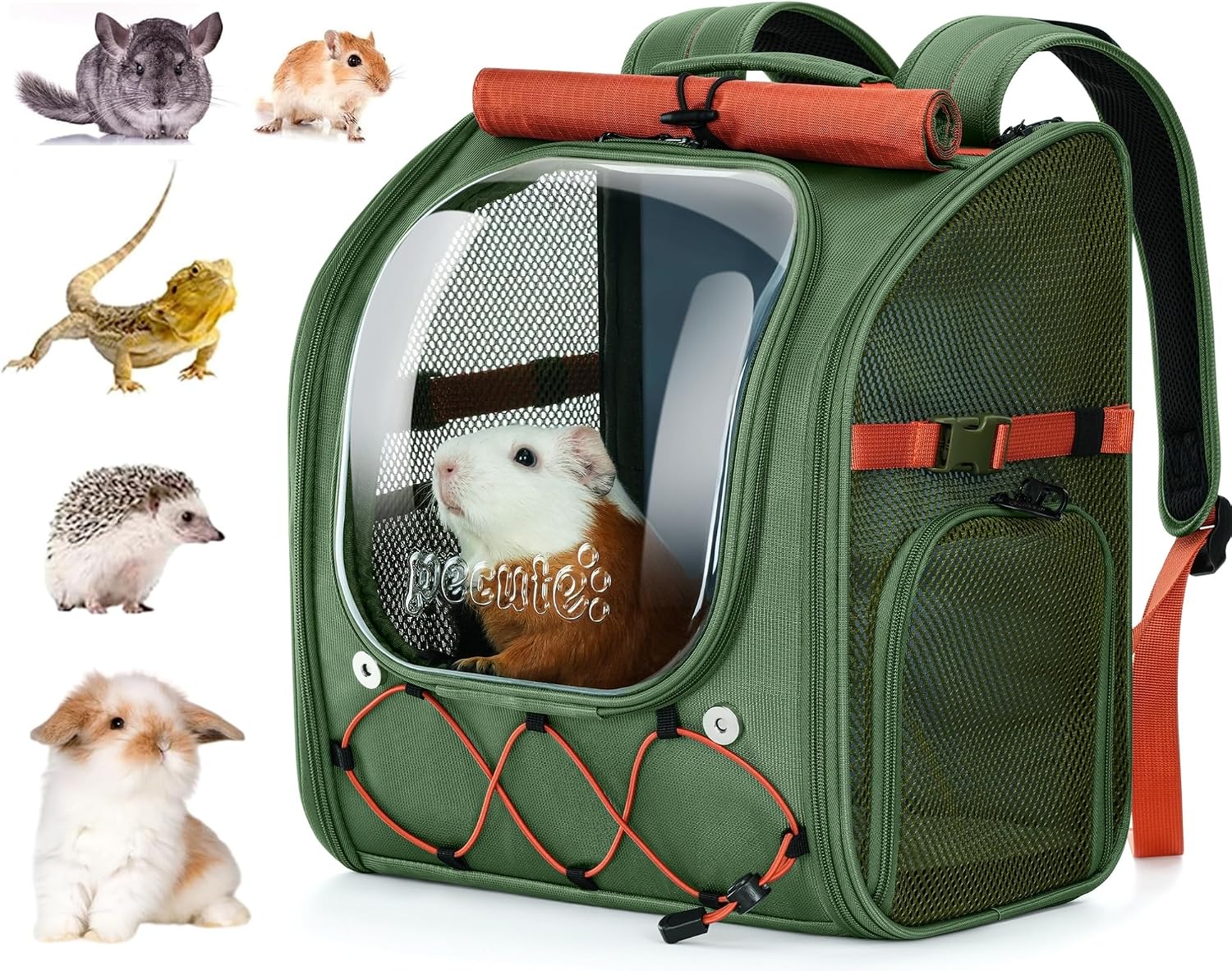 Pecute Small Pet Carrier, Breathable Bearded Dragon Carrier, with Transparent Bubble & Steel Frame, Safety Lock for Hamster, Rabbit, Guinea Pig, Parrot, Kitten, Puppy, Ideal for Travel/Vet Visits/Camp - Image 11
