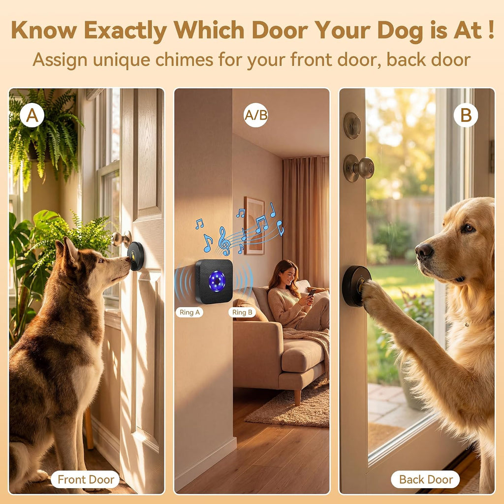 Wireless dog doorbell receiver with blue LED light indicator