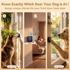 Wireless dog doorbell receiver with blue LED light indicator