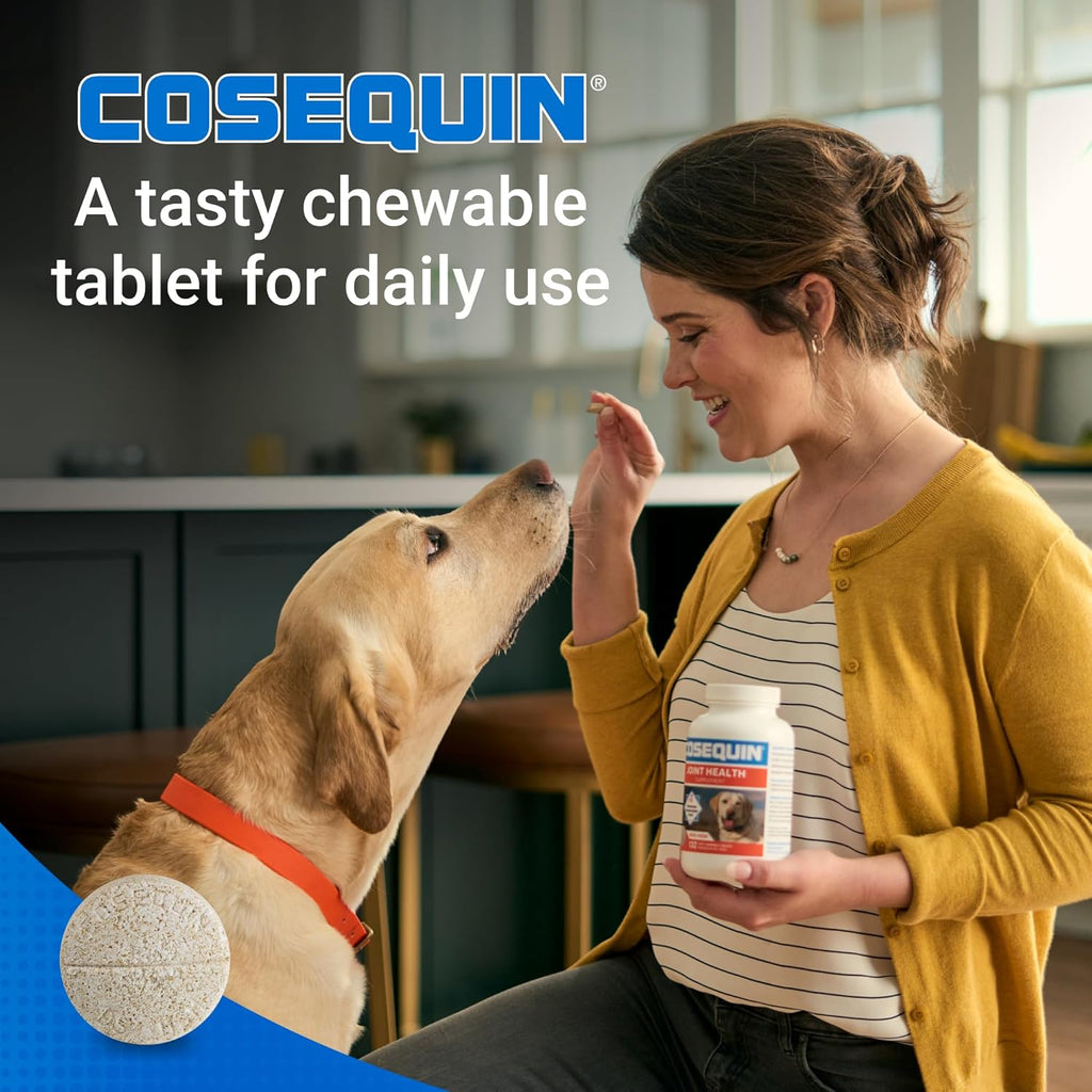 Nutramax Cosequin maximum strength chewable tablets container with cap open