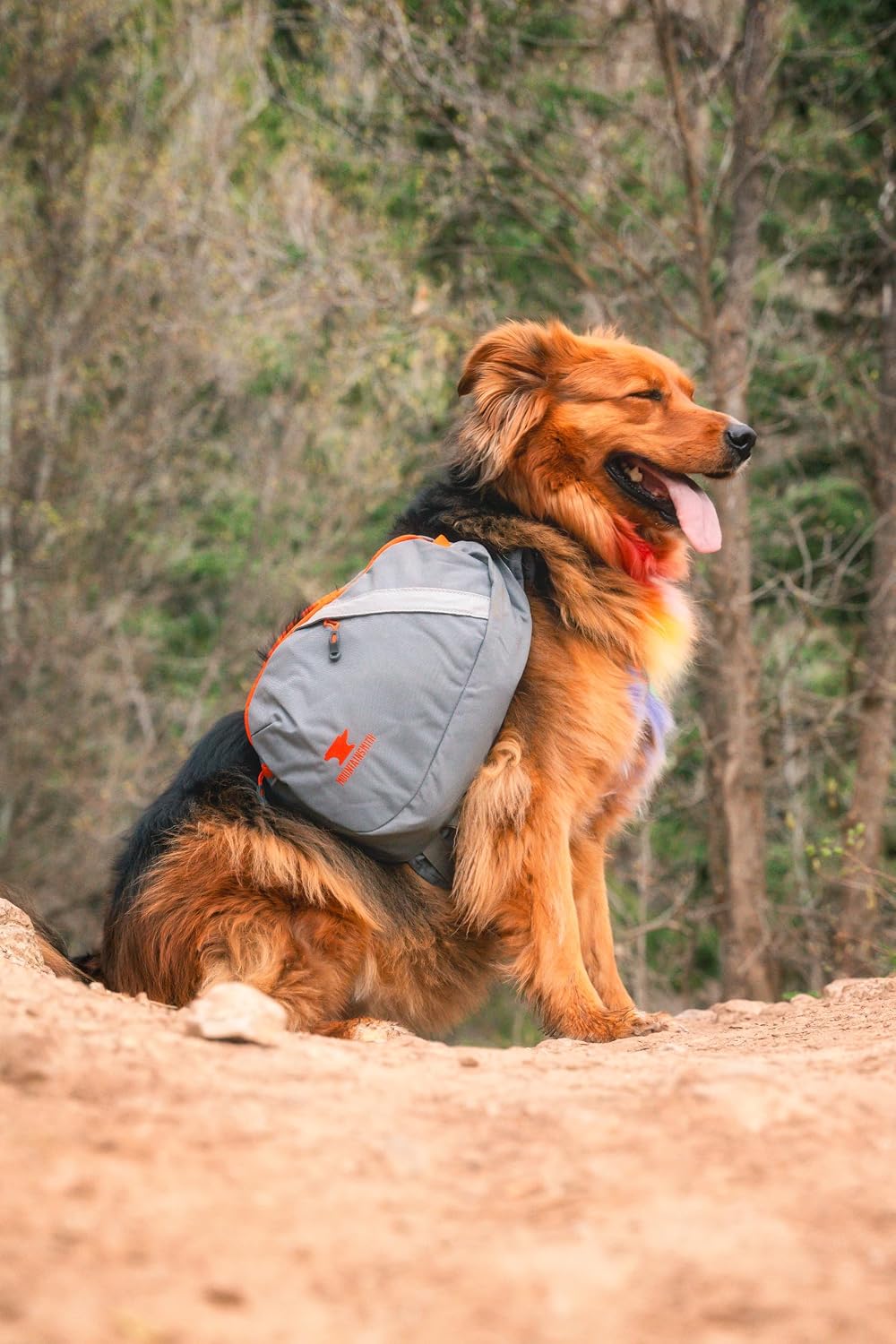 Water resistant dog saddlebag backpack for outdoor camping gear