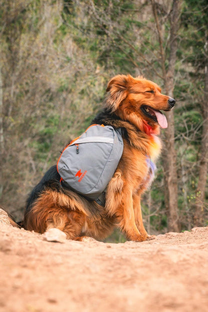 Water resistant dog saddlebag backpack for outdoor camping gear
