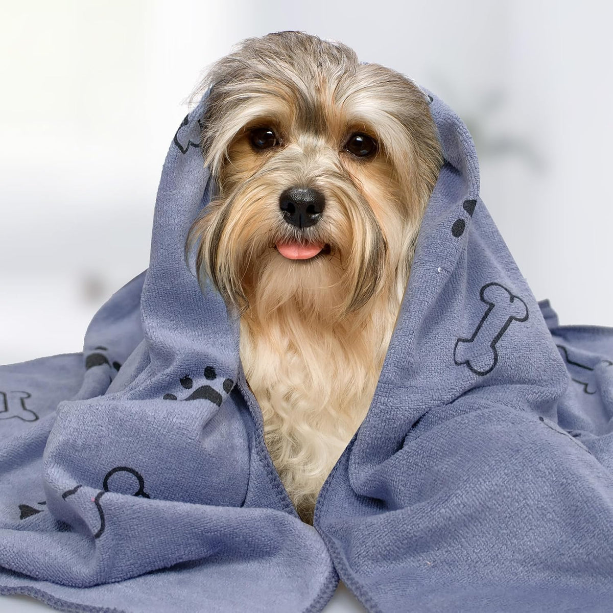 Professional groomer using Senonapo pet towel