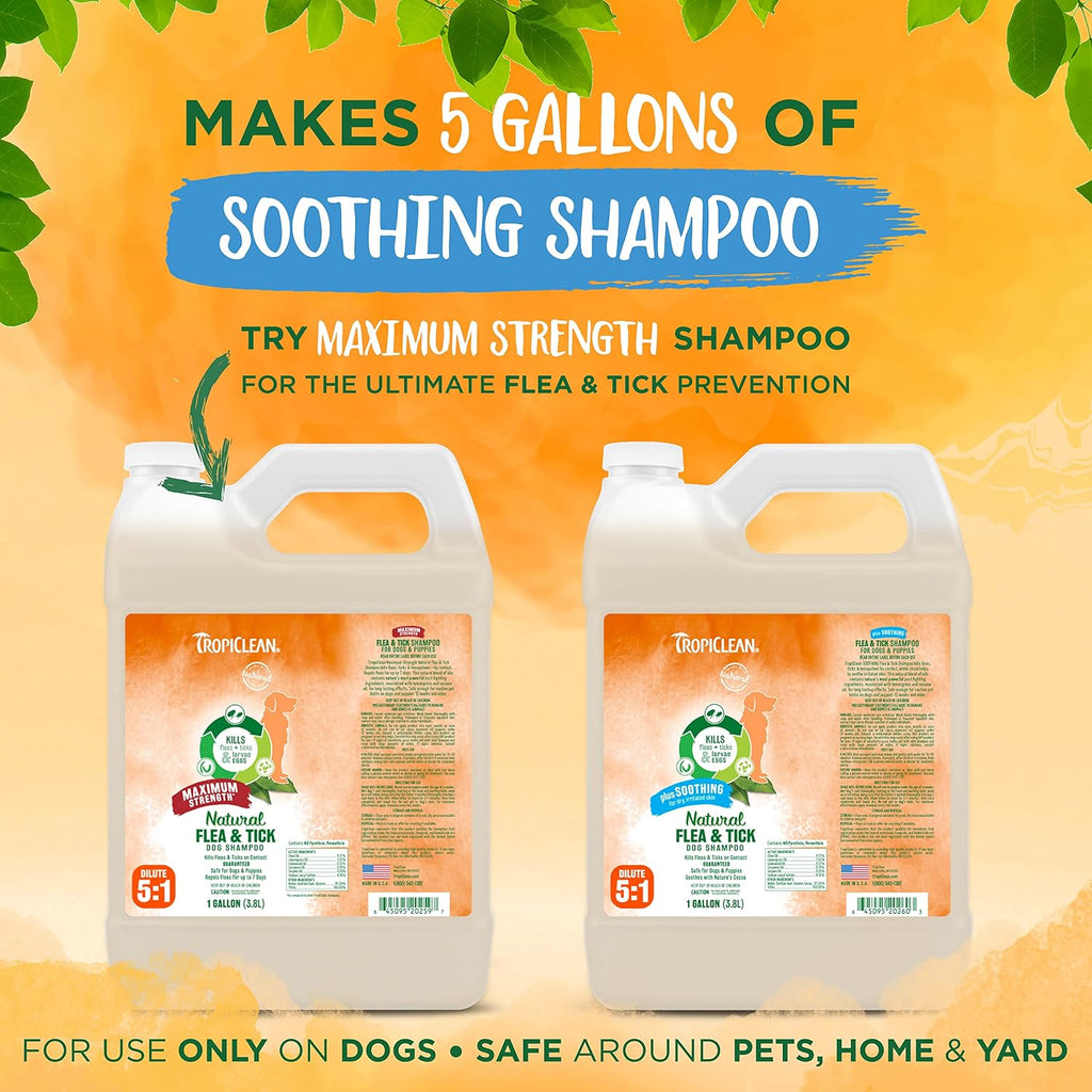 TropiClean flea tick soothing dog shampoo container showing authentic manufacturing labels