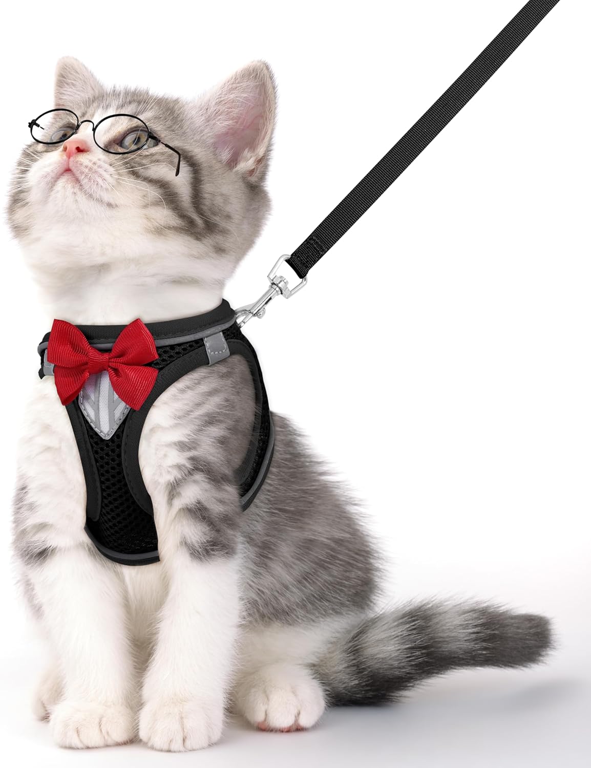Escape proof three hundred and sixty degree wrap pet walking harness in blue