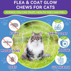 Weallin cat supplement packaging showing pumpkin seed and coconut oil benefits