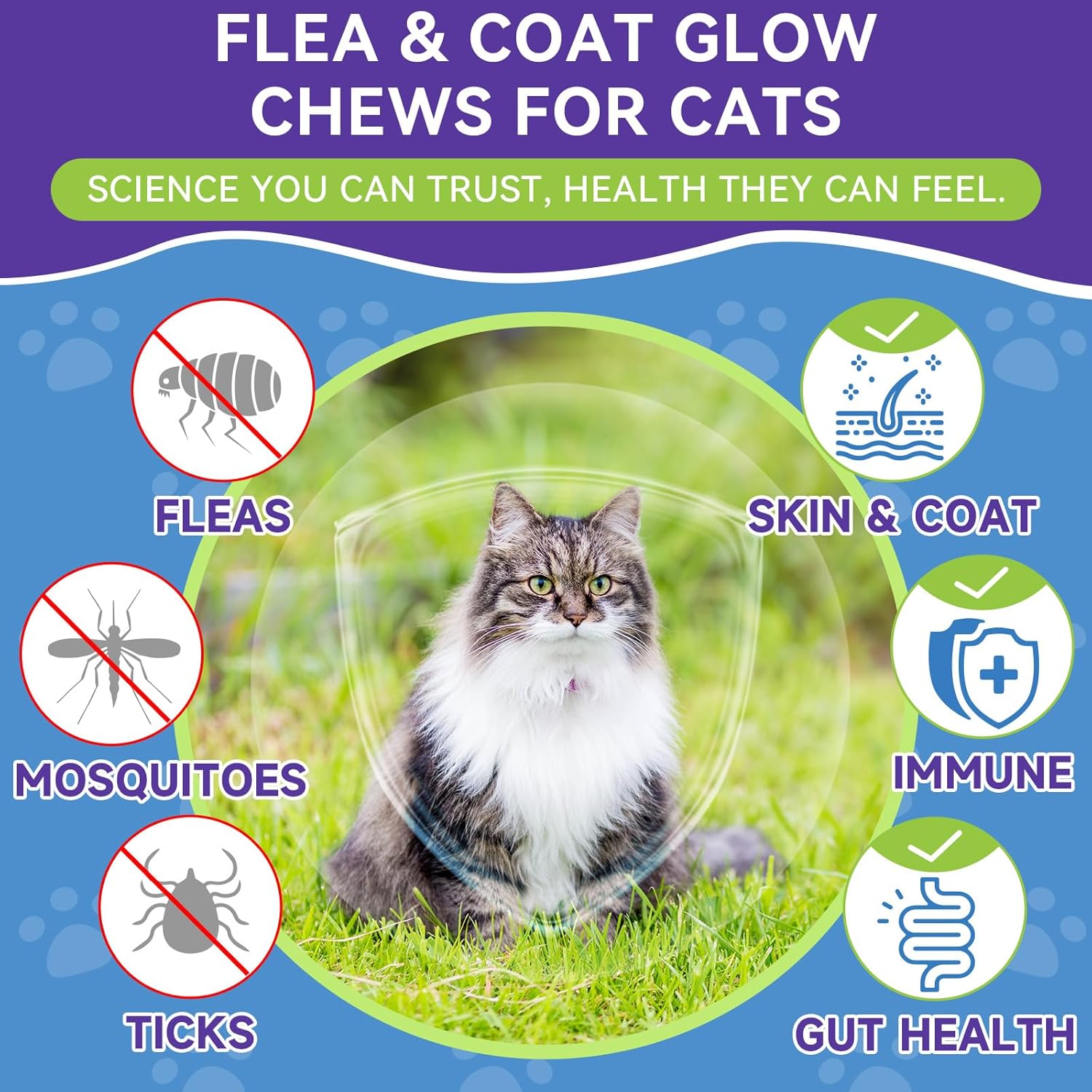 Weallin cat supplement packaging showing pumpkin seed and coconut oil benefits