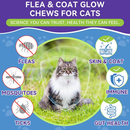 Weallin cat supplement packaging showing pumpkin seed and coconut oil benefits