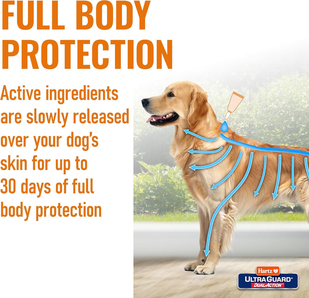 Hartz dual action flea treatment breaking the flea life cycle diagram