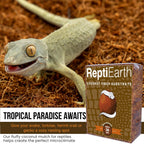 ReptiEarth coco coir substrate in a bioactive terrarium
