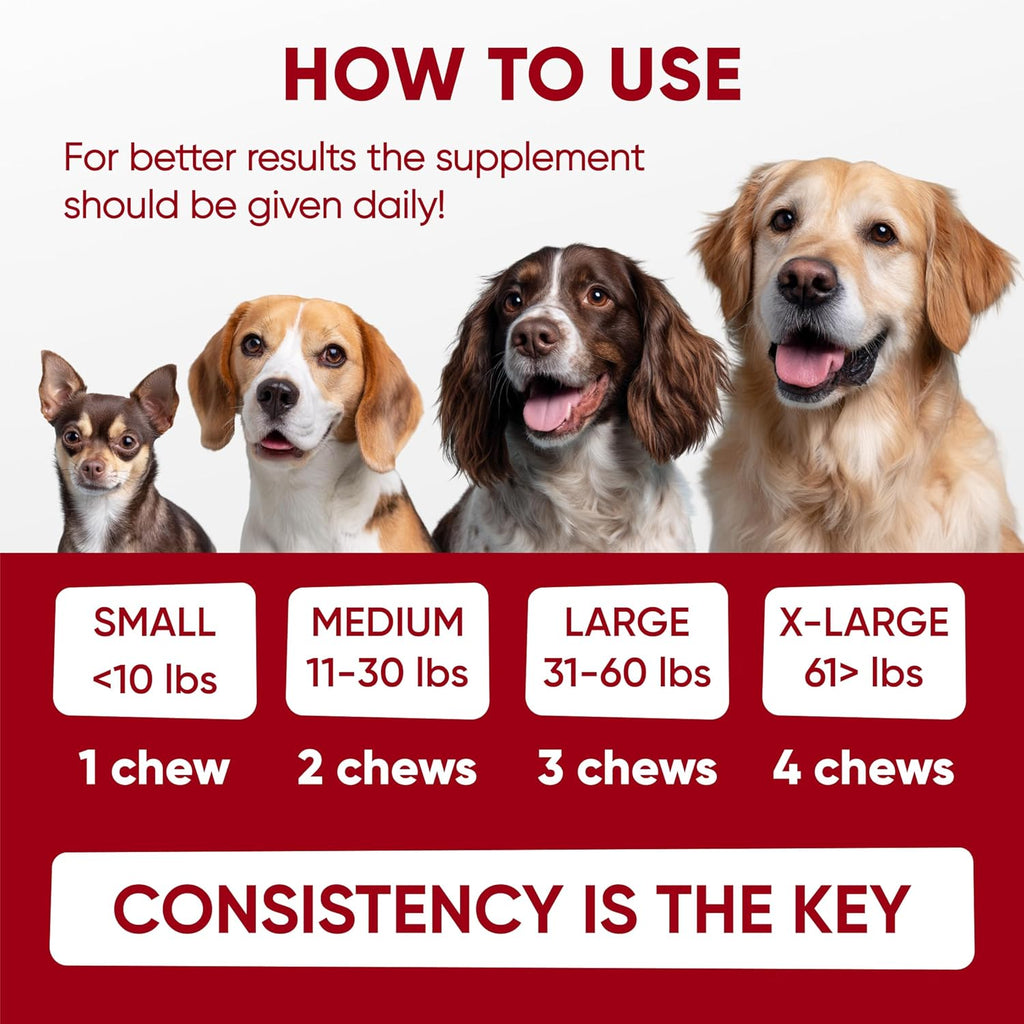 Probiotics for Dogs Digestive Health - Probiotic Chews for Gut Health, Itchy Skin Yeast, Diarrhea - USA Product - Immune Support Supplement - Dog Digestive Support & Allergy Relief Chews with Enzymes - Image 9