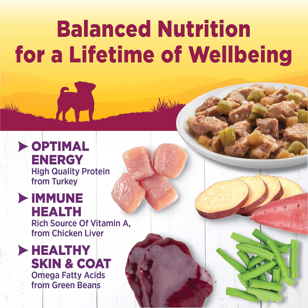 Wellness Petite Entrees small breed natural dog food cup showing turkey and green beans recipe