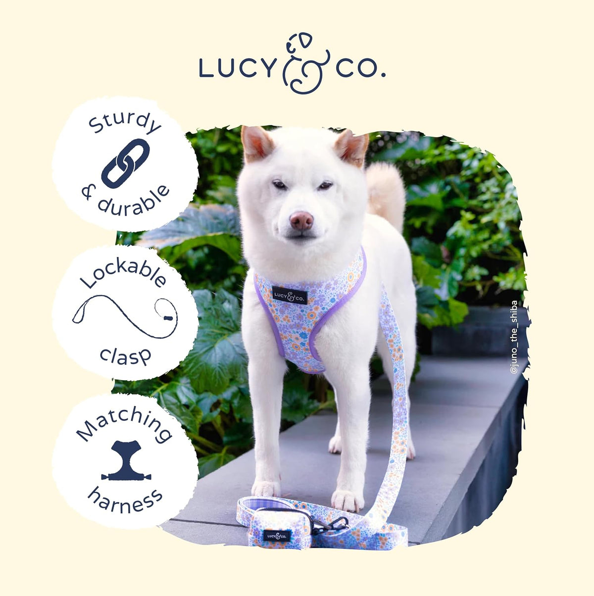 Premium lockable swivel carabiner hook detail on the imported dog leash.