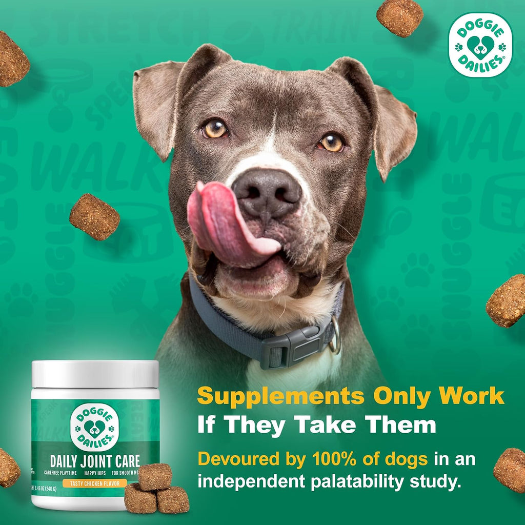 Doggie Dailies Glucosamine Chondroitin dog joint supplement chicken flavor soft chews