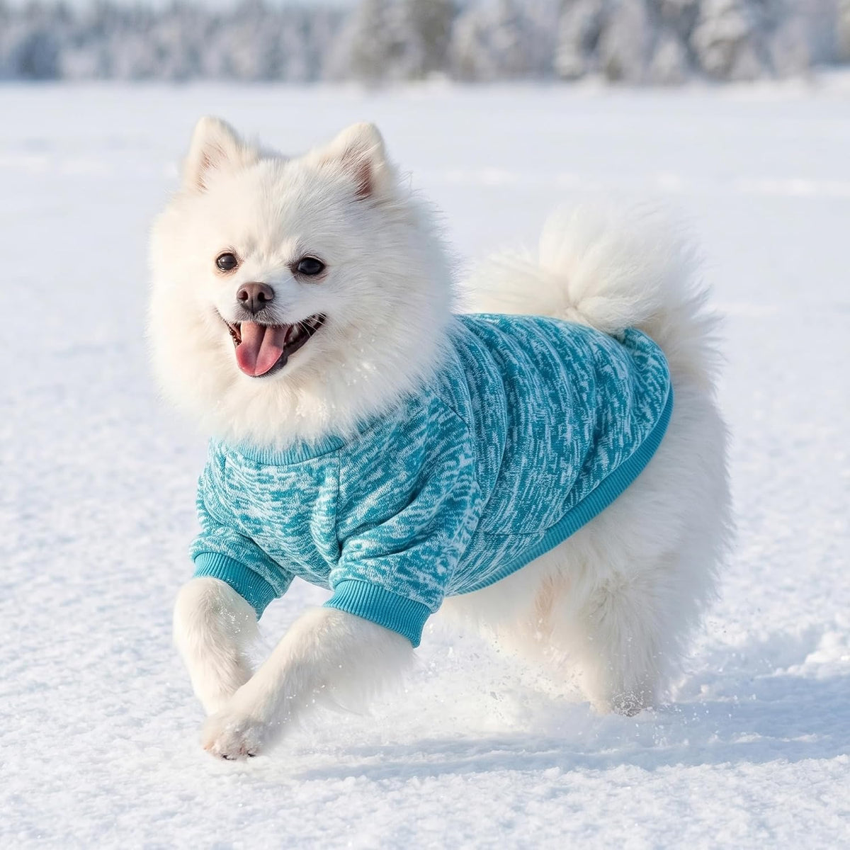 BAOBICUTE comfortable cat winter apparel light blue variant