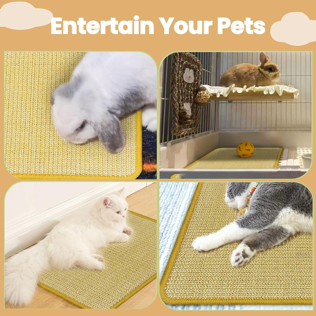 Guinea pig chewing safely on the non toxic DYAUS small animal mat
