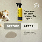 Using Nonaste spray on carpet for pet urine removal