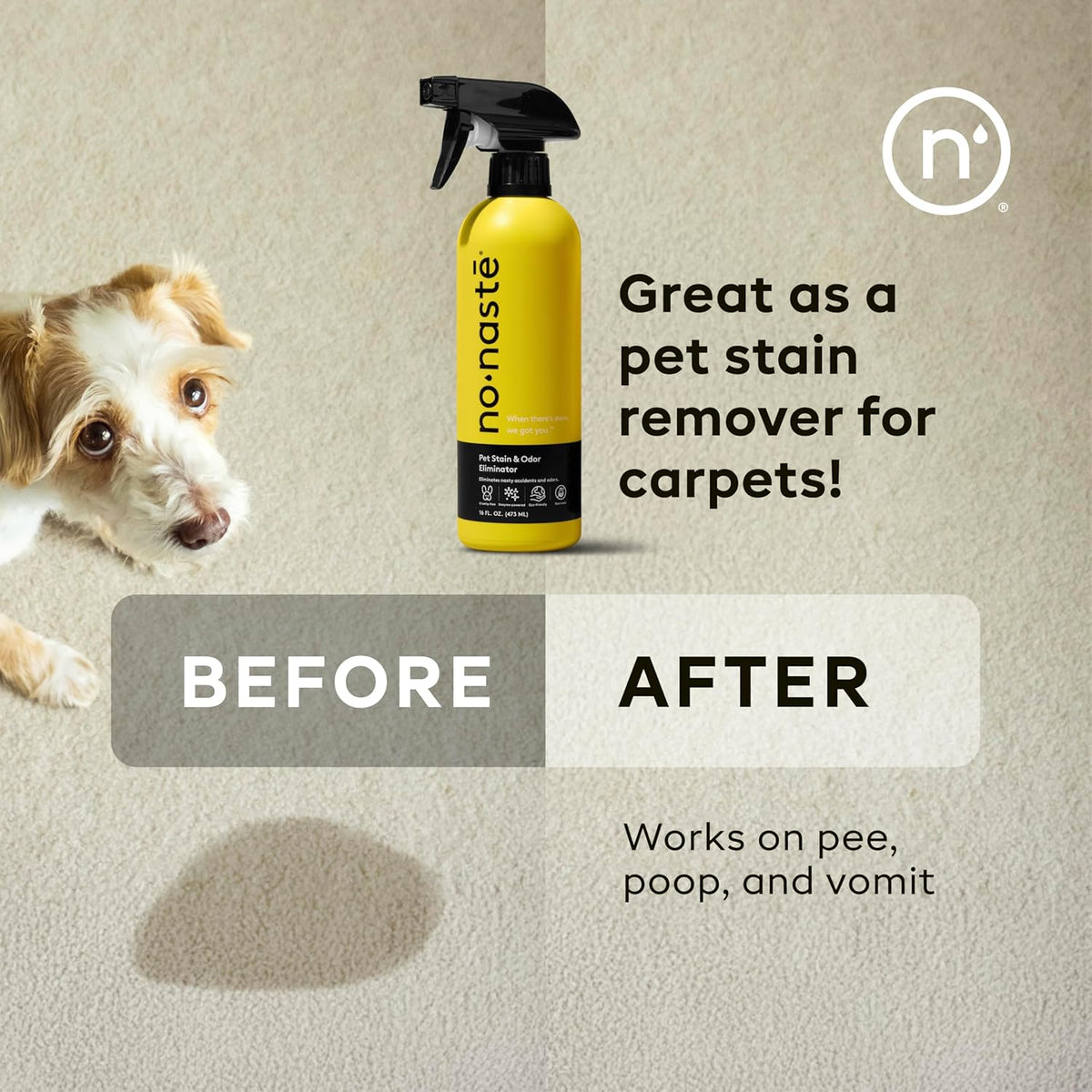 Using Nonaste spray on carpet for pet urine removal