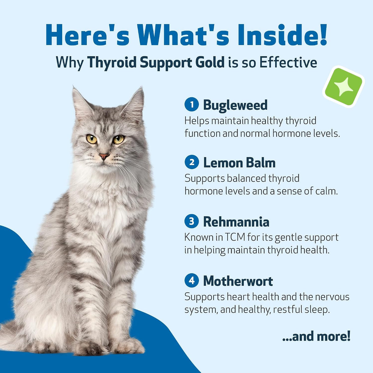 Pet Wellbeing Thyroid Support Gold feline health benefits label