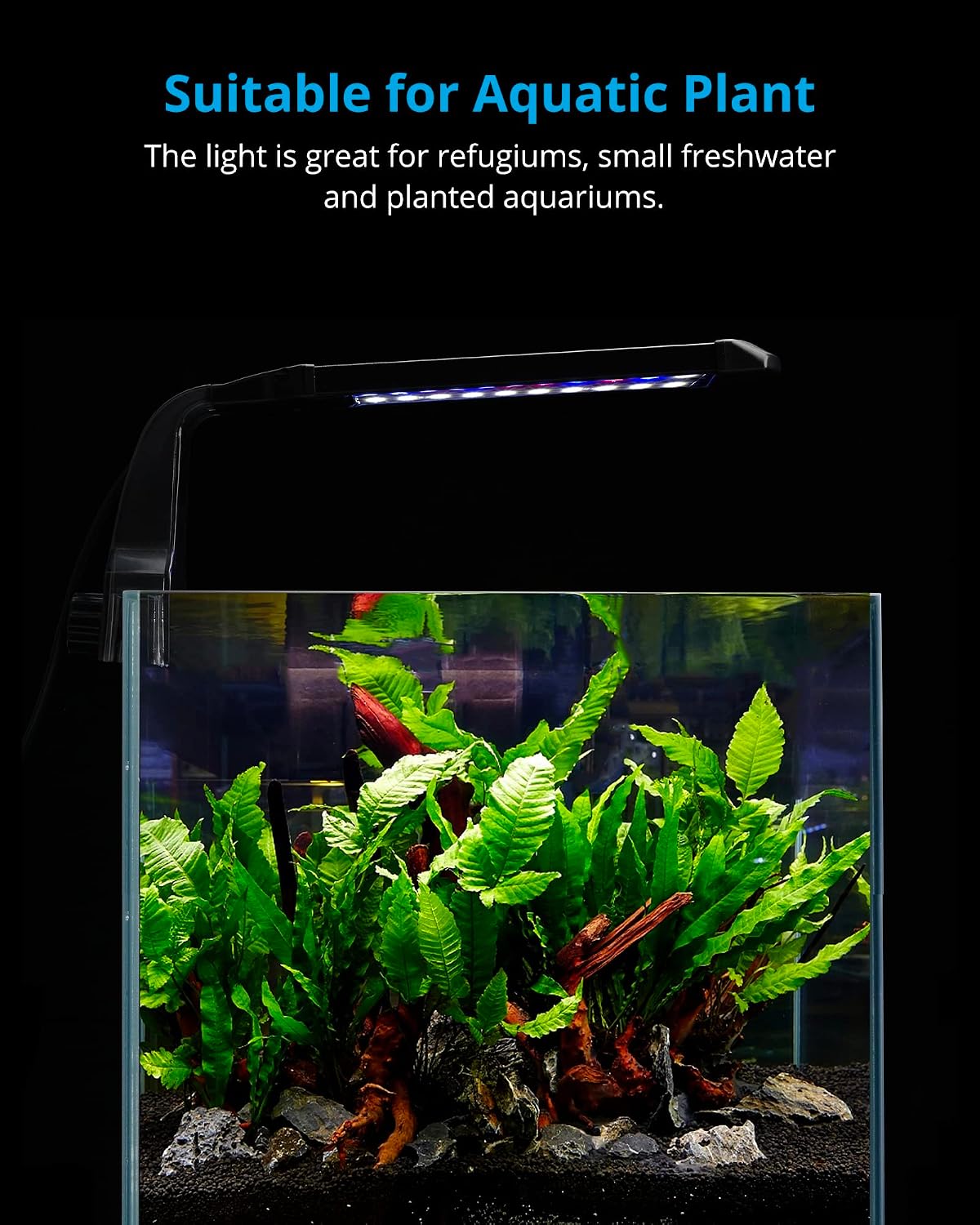 Nicrew fish tank light showing white and blue LED spectrum