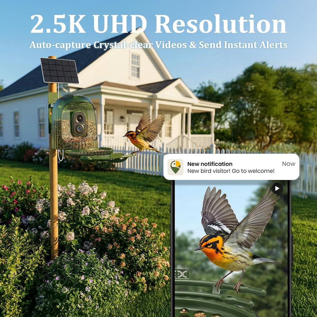 Smart Bird Feeder with Camera Solar Powered, Auto Capture 2.5K Videos - Image 6