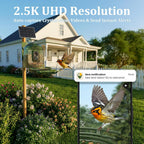Smart Bird Feeder with Camera Solar Powered, Auto Capture 2.5K Videos - Image 6