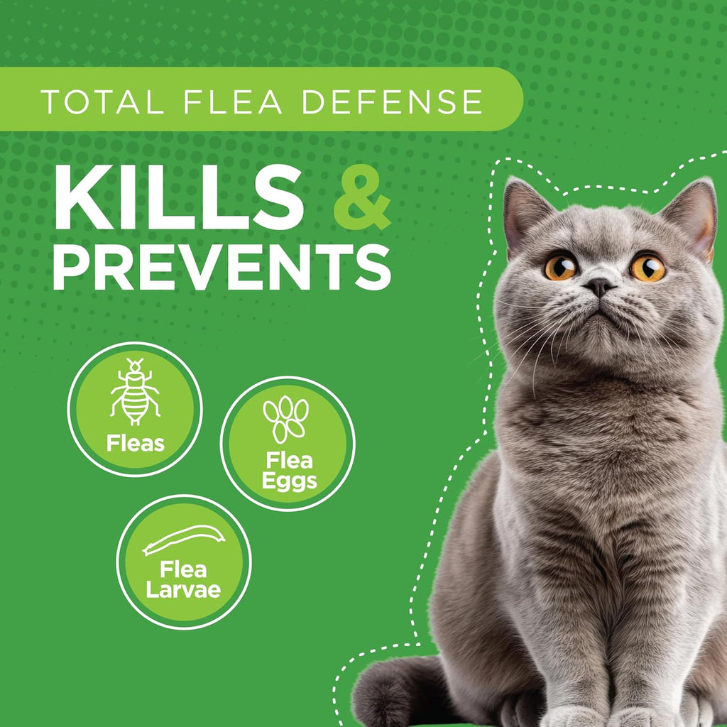 Six monthly applicators of TevraPet flea prevention solution for large felines laid out clearly