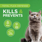 Six monthly applicators of TevraPet flea prevention solution for large felines laid out clearly