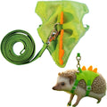 Homedy Crafts hedgehog leash and harness clothes accessories front view showing green dinosaur design