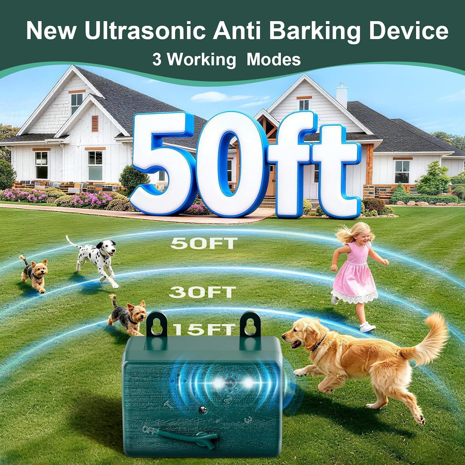 Saigain dog training tool set up in an outdoor garden setting
