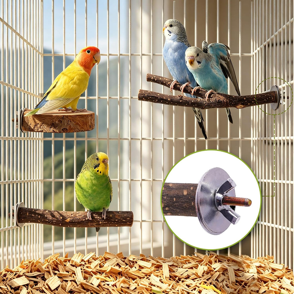 8PCS Bird Perches Set Natural Apple Wood Bird Cage Accessories Wooden Parrot Stand Hardwood Branches for Parakeets, Budgies, Cockatiels Small Bird Habitat Gym, Climbing Stand & Safe Chew Toys - Image 6